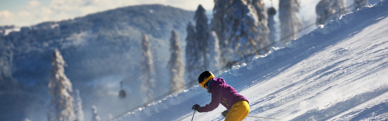 Skifahren Großer Arber