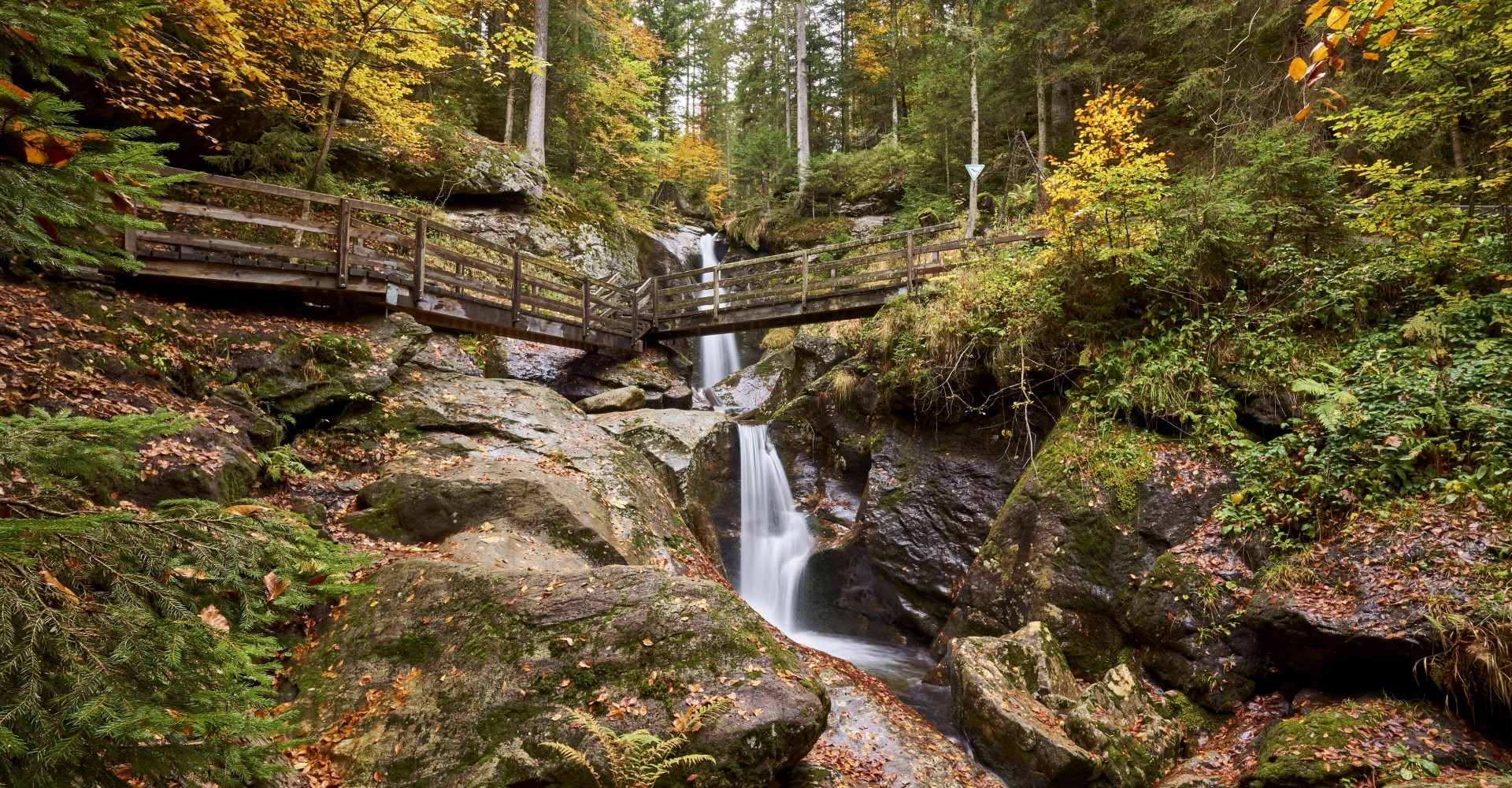 hochfallherbst-1