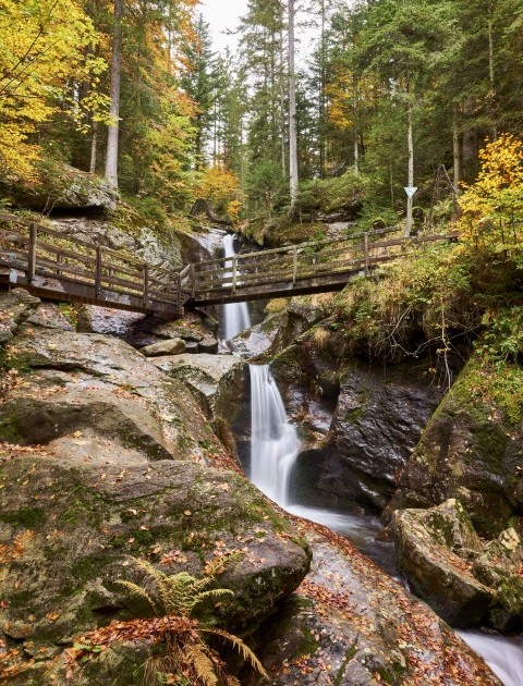 hochfallherbst-1