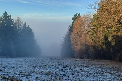 20251214_143207