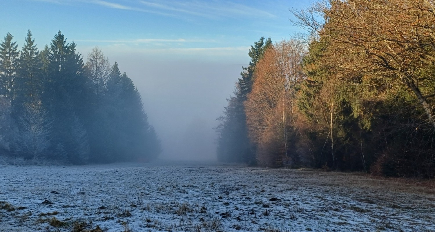 wunderschöner Herbst